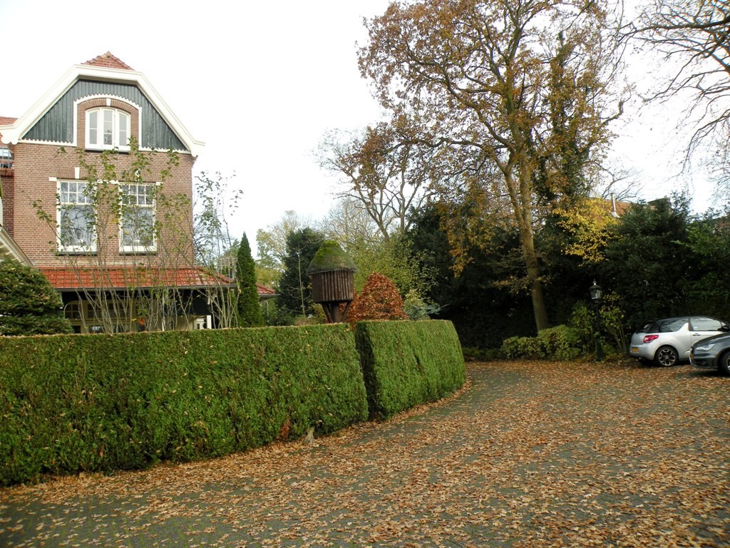 Photo of property