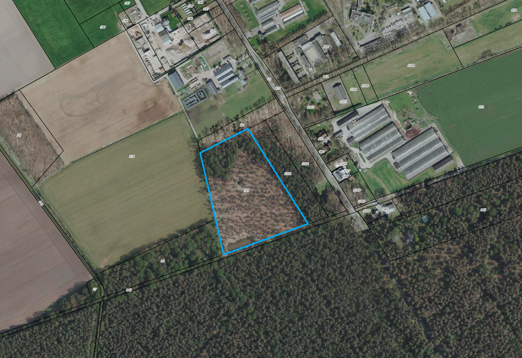 Photo of property