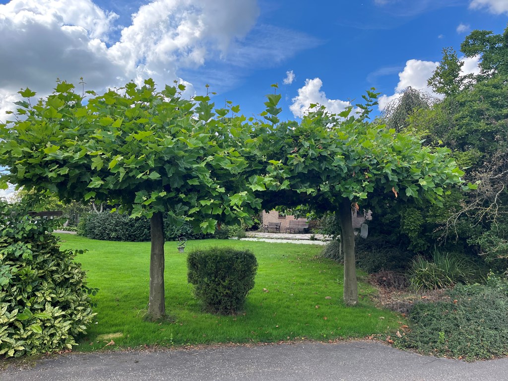 Photo of property
