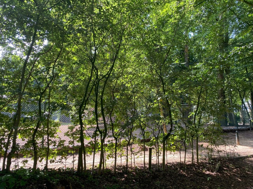 Photo of property