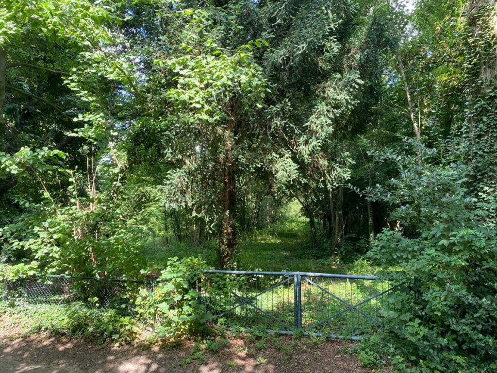 Photo of property