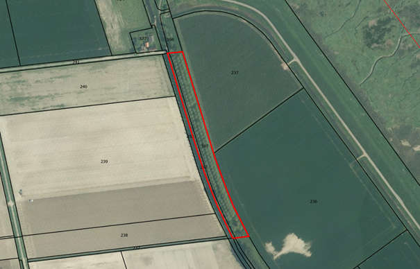 Photo of property