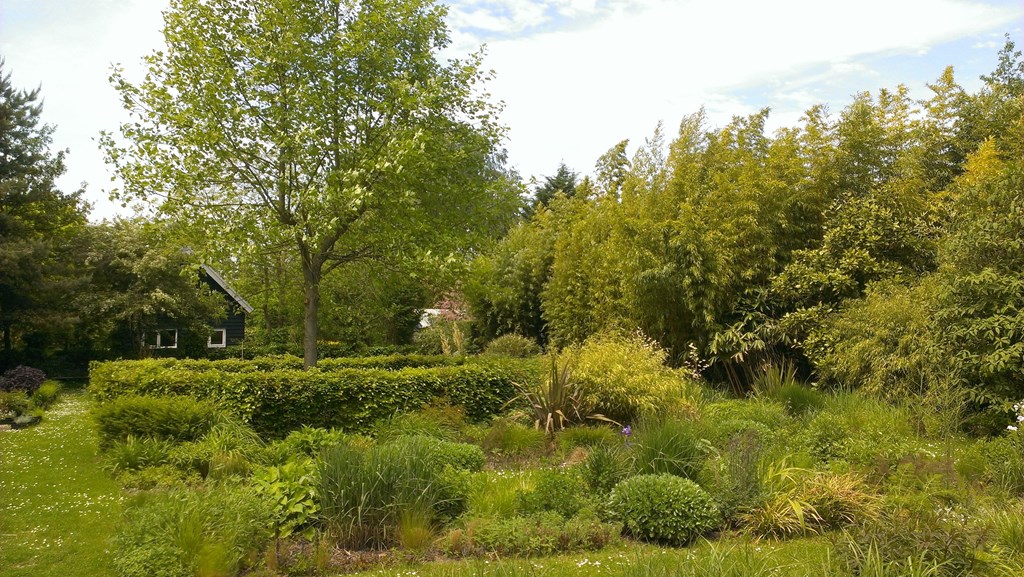 Photo of property