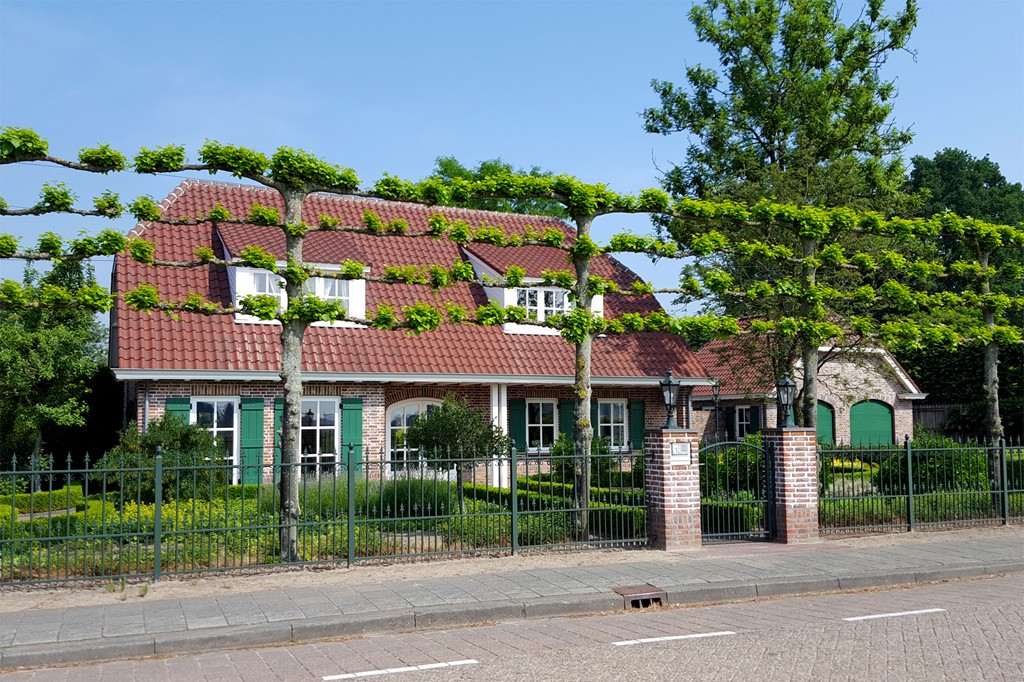 Photo of property