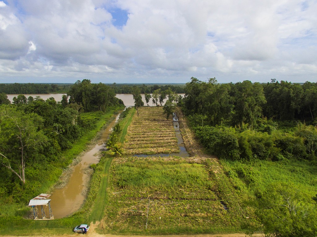 Photo of property