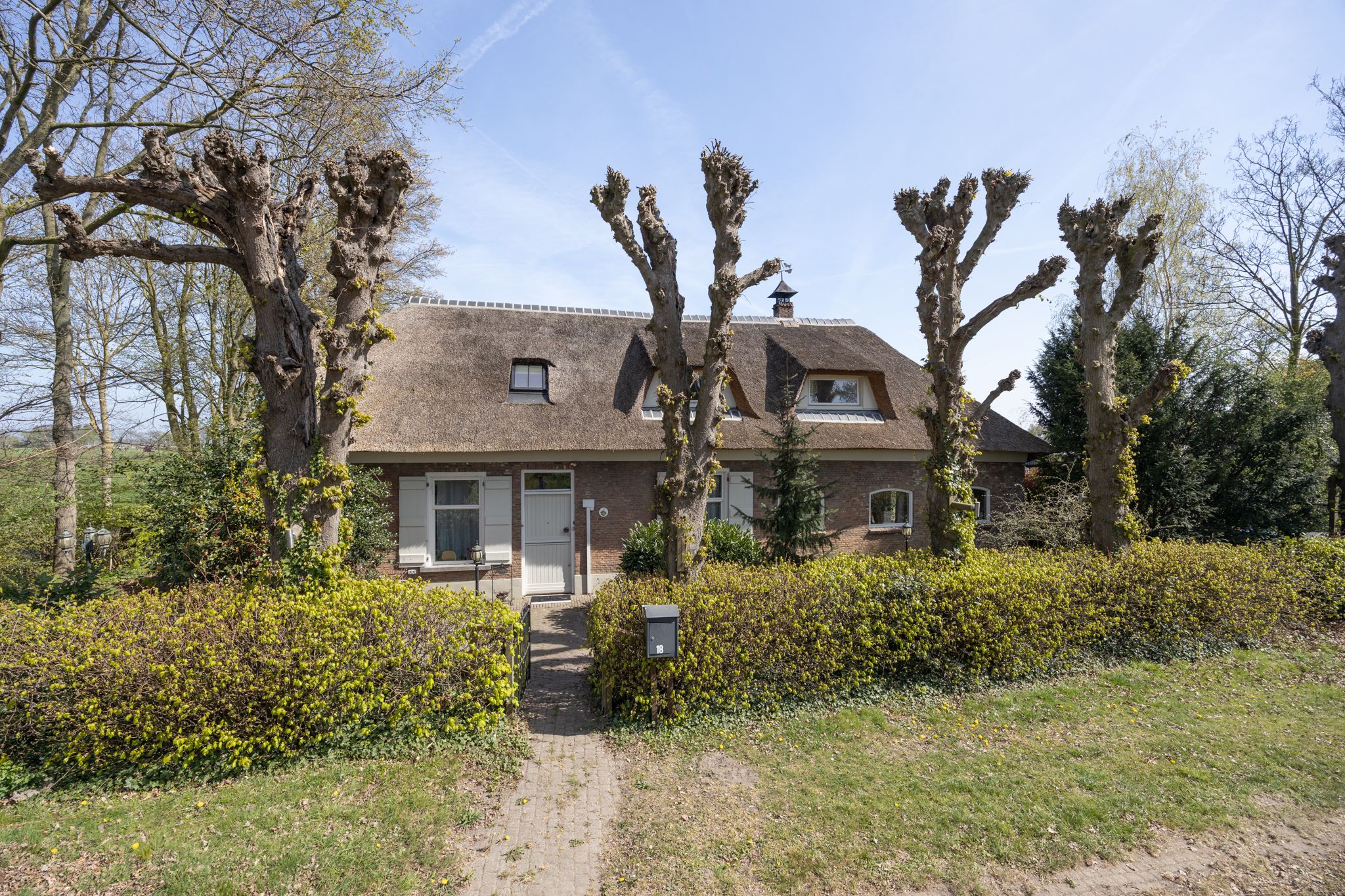 Photo of property