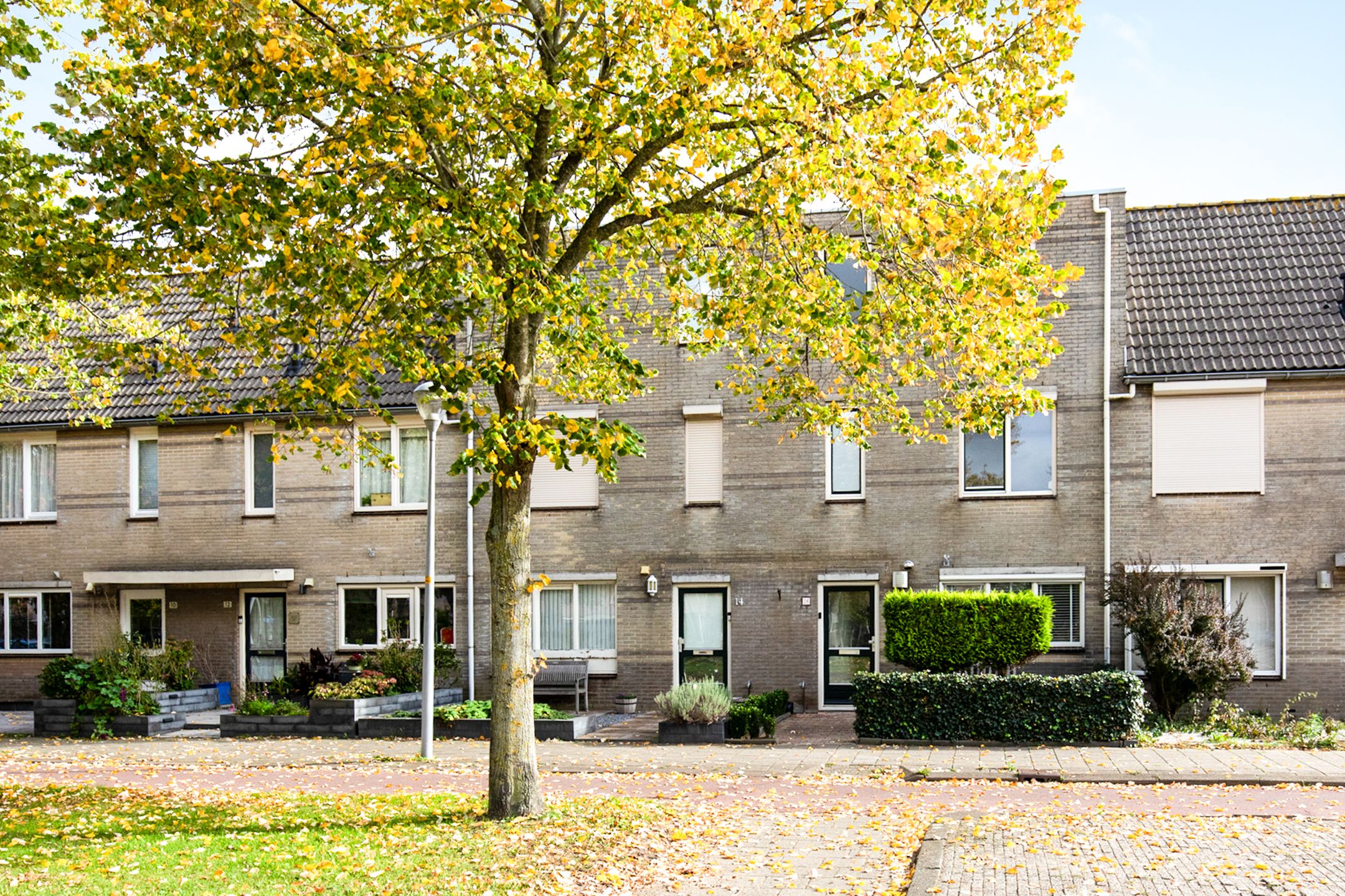 Photo of property