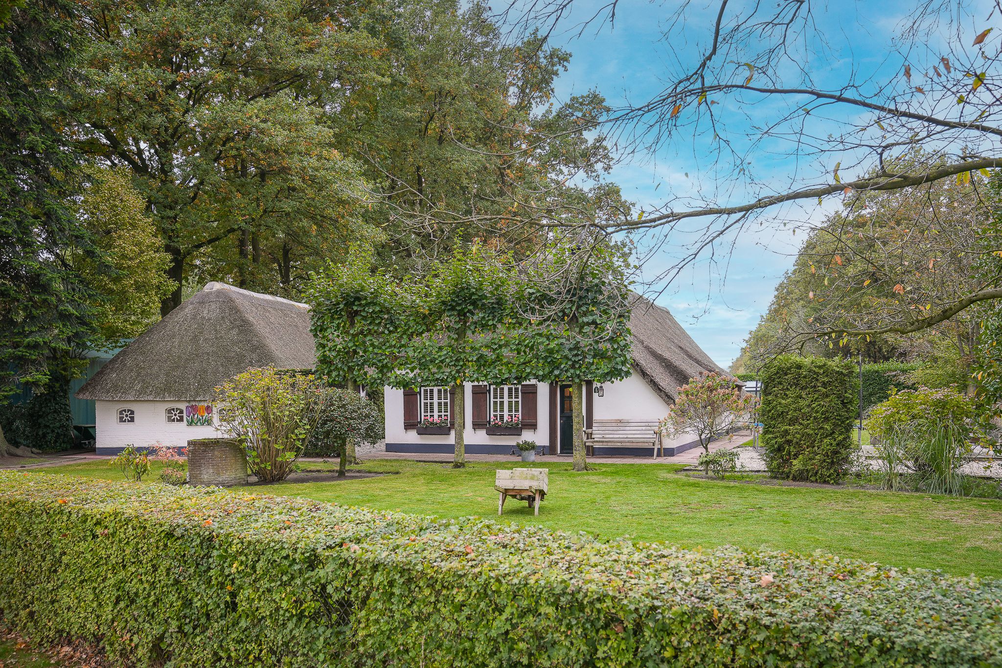 Photo of property