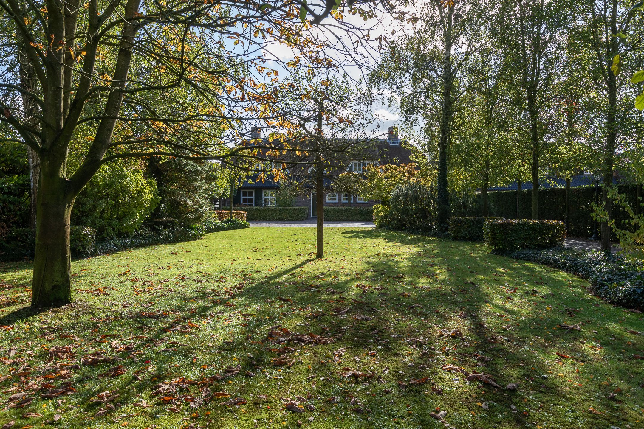 Photo of property