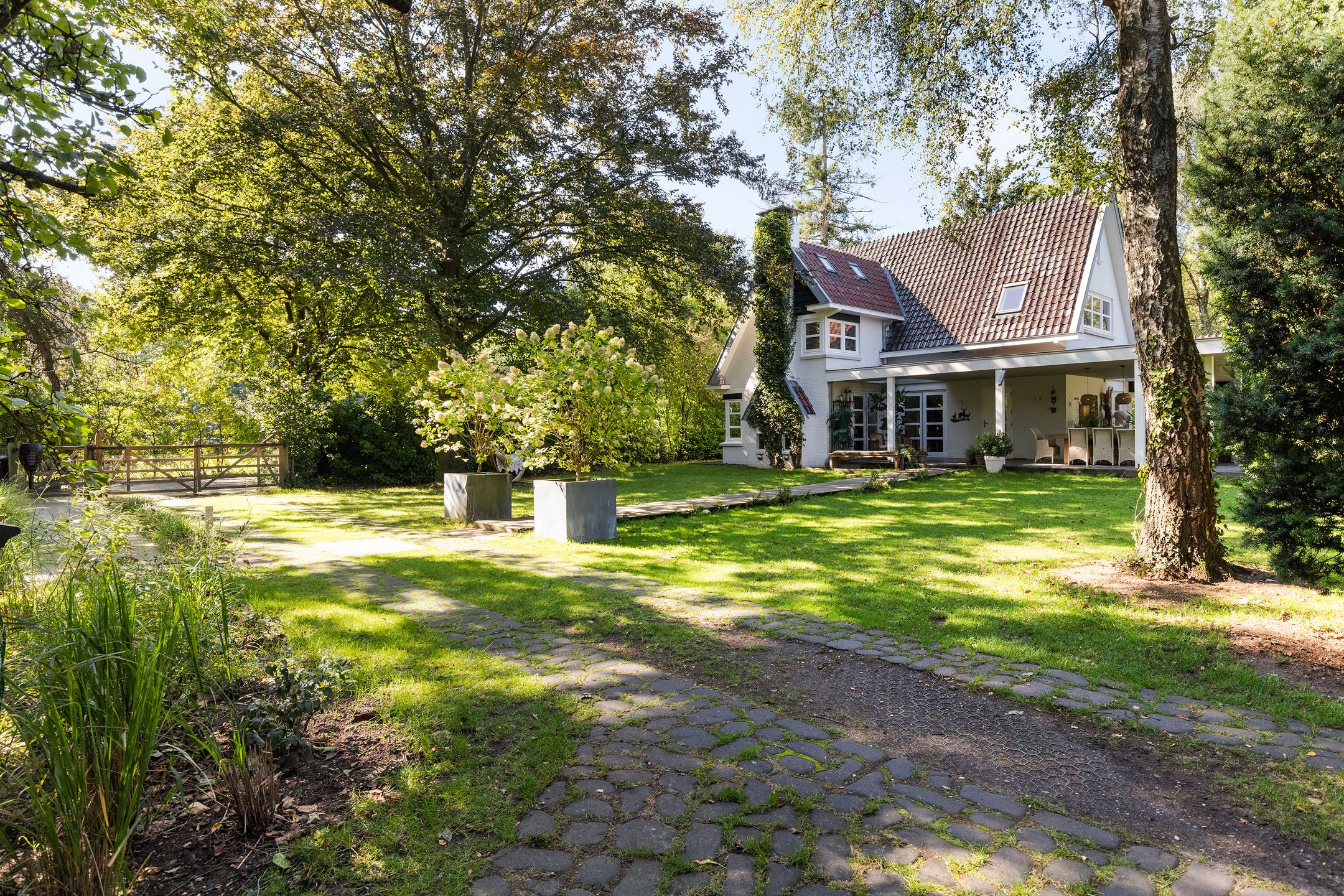 Photo of property