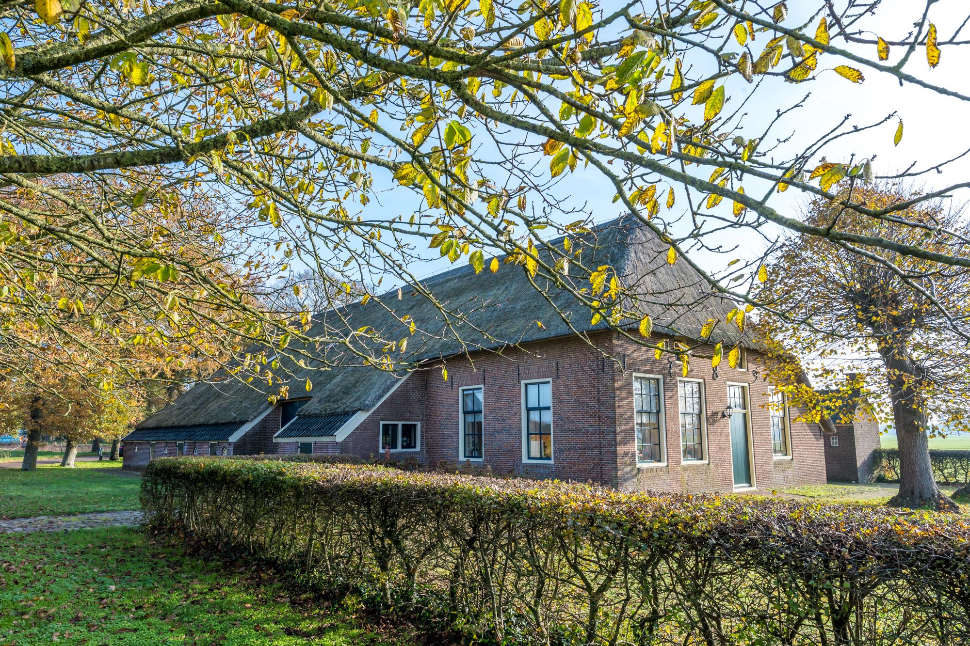 Photo of property