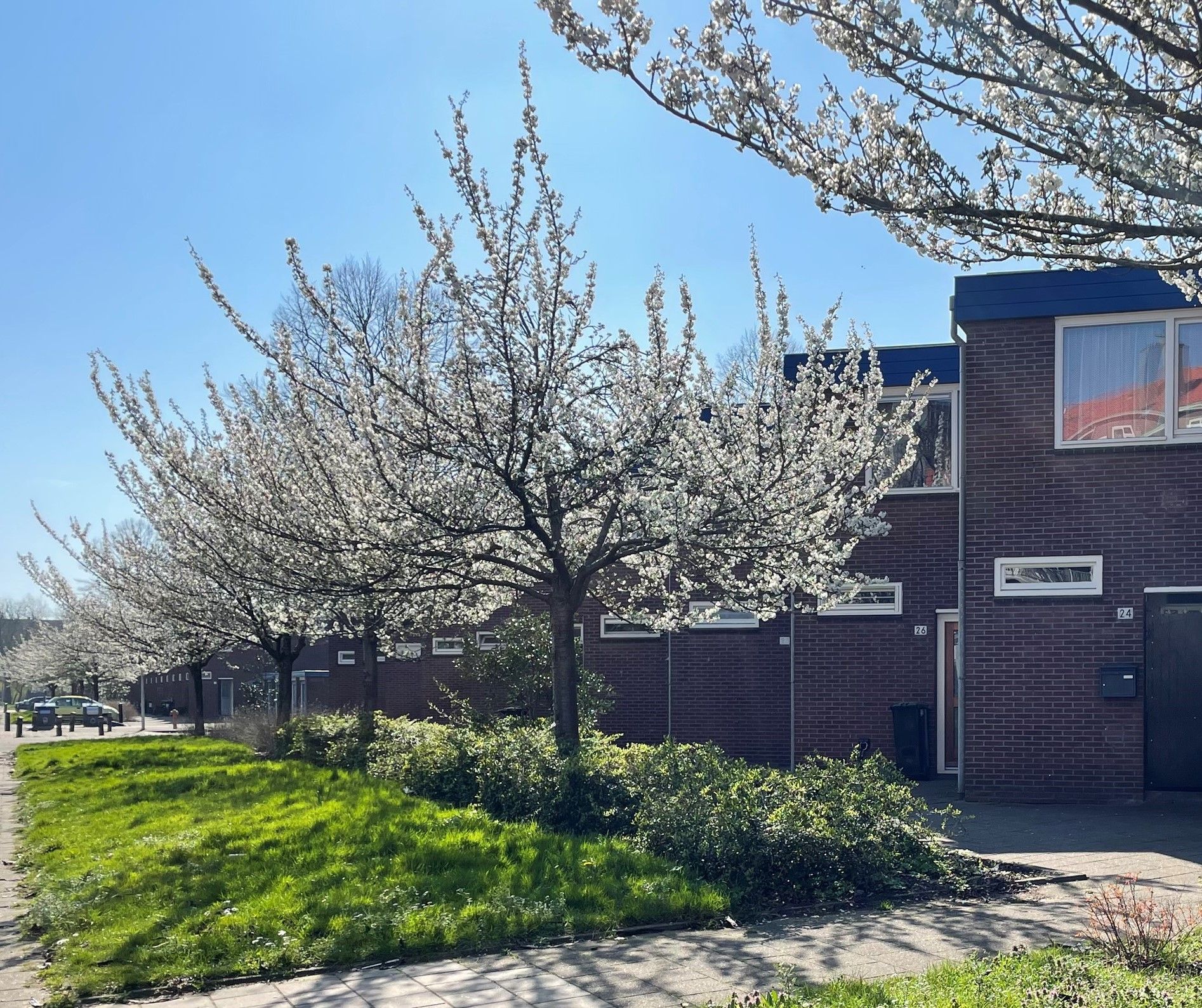 Photo of property