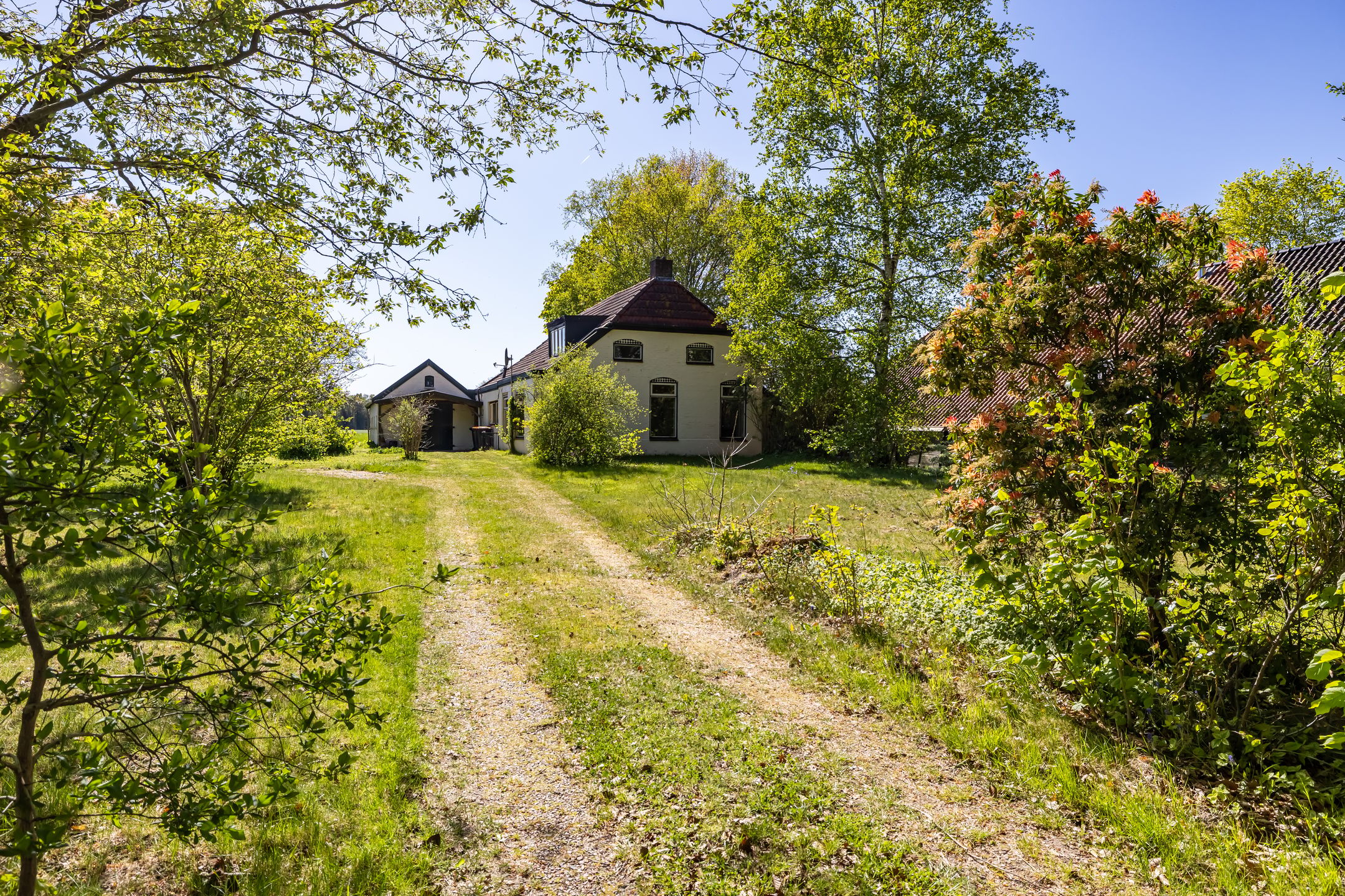 Photo of property