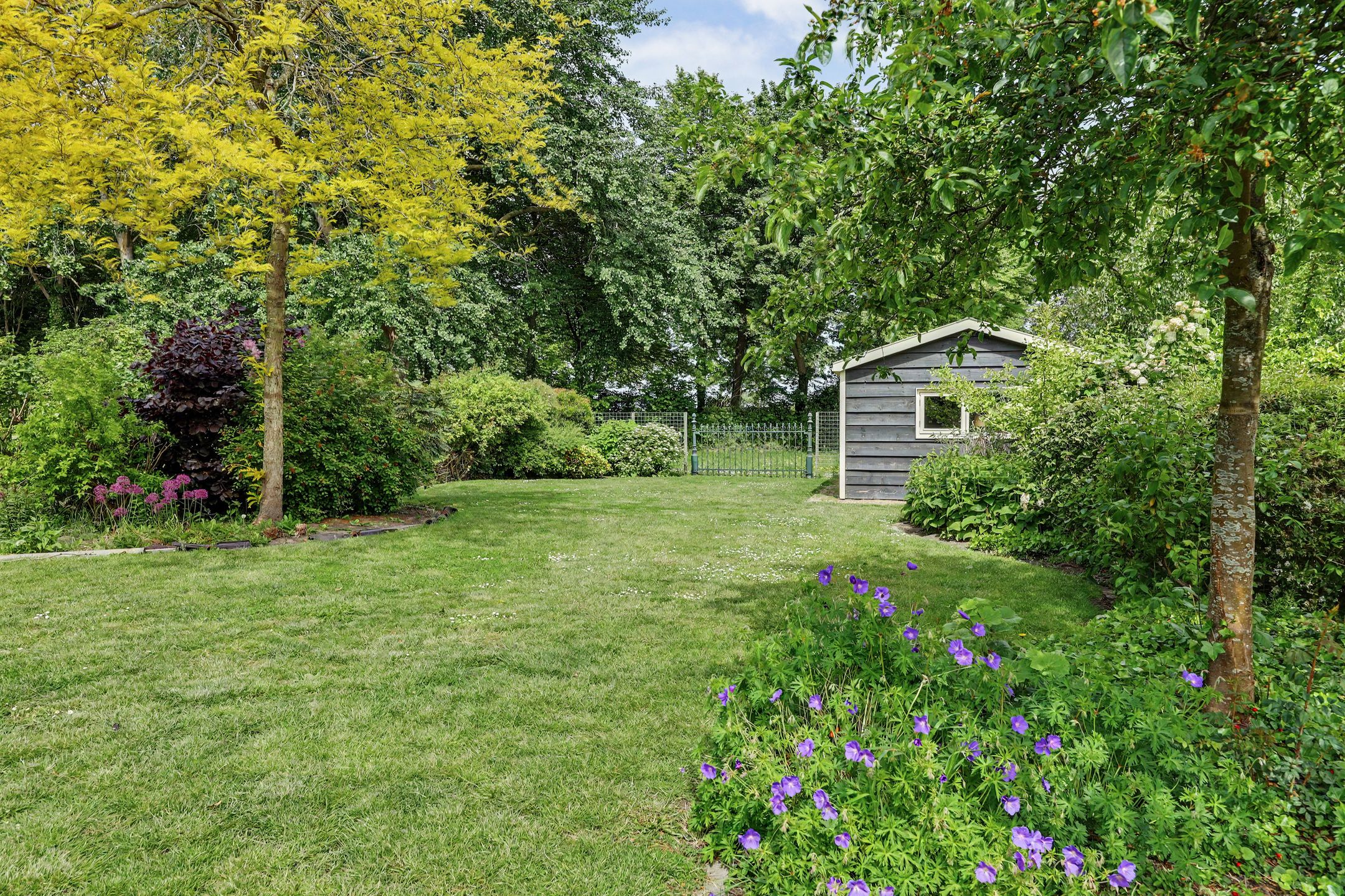 Photo of property