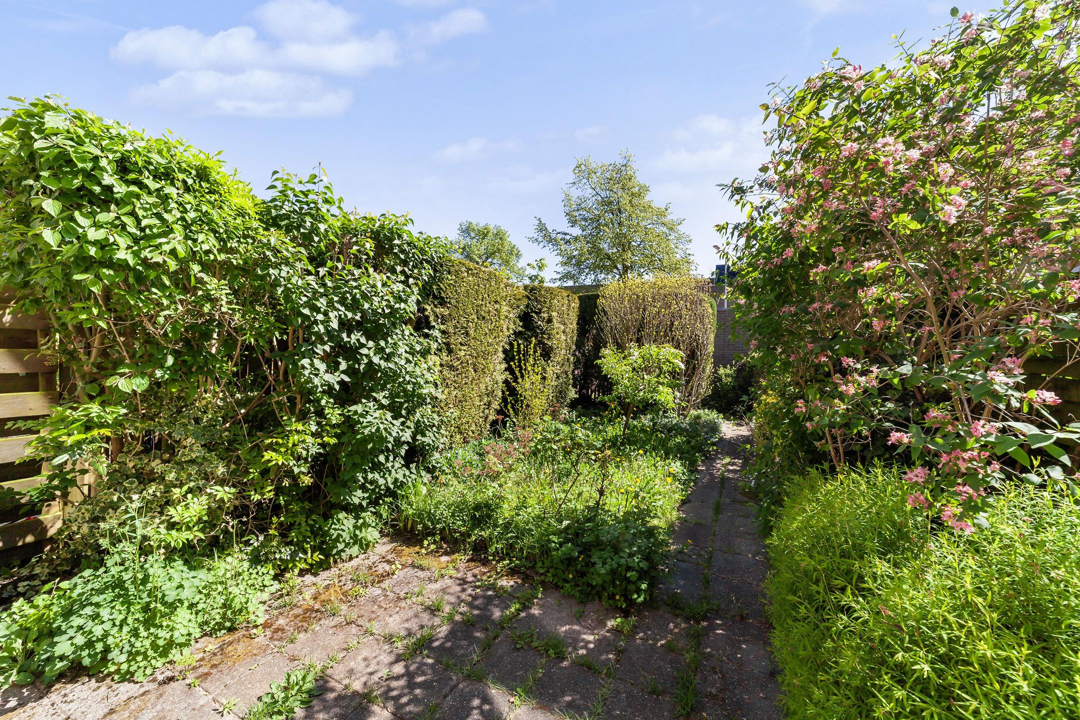 Photo of property
