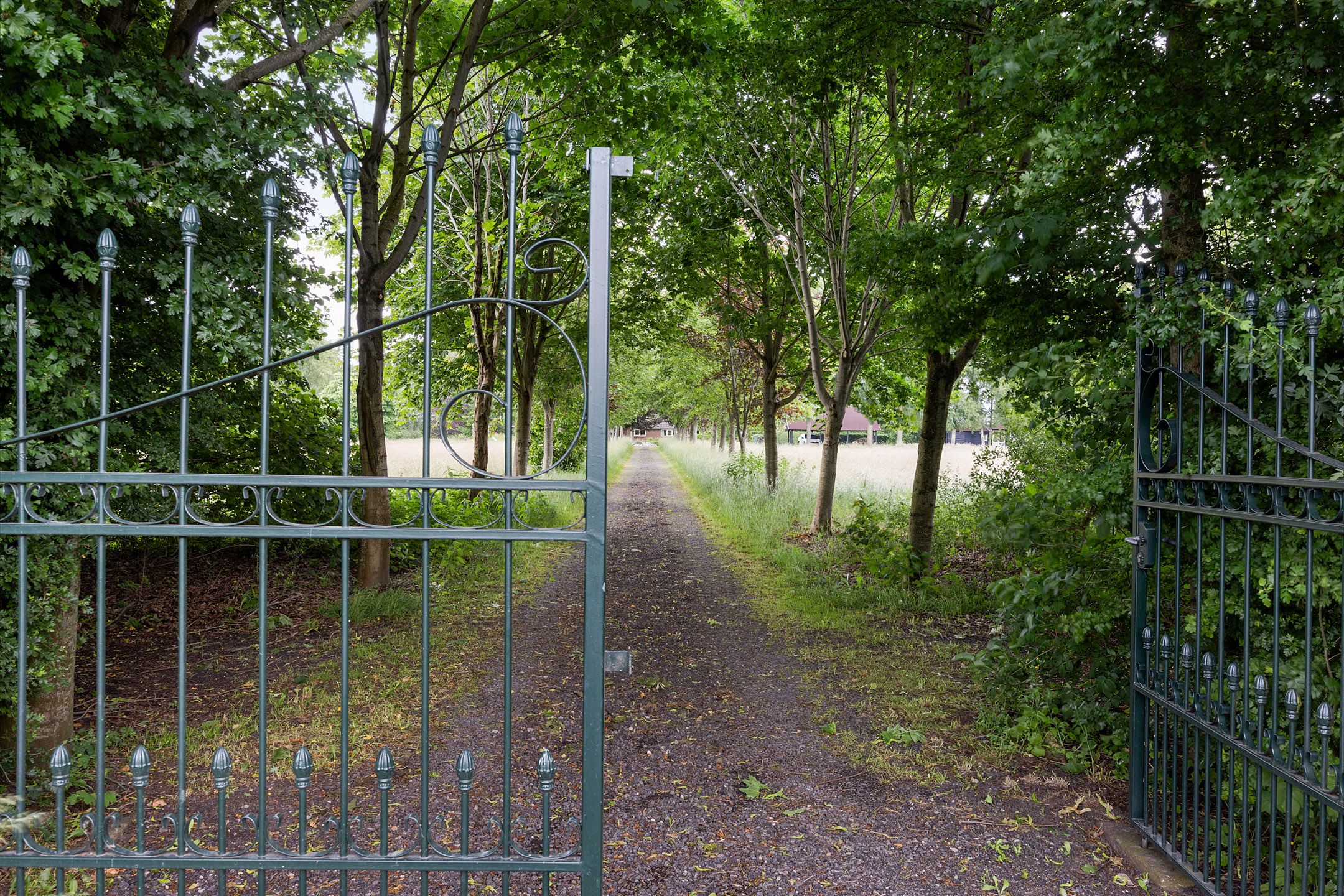 Photo of property