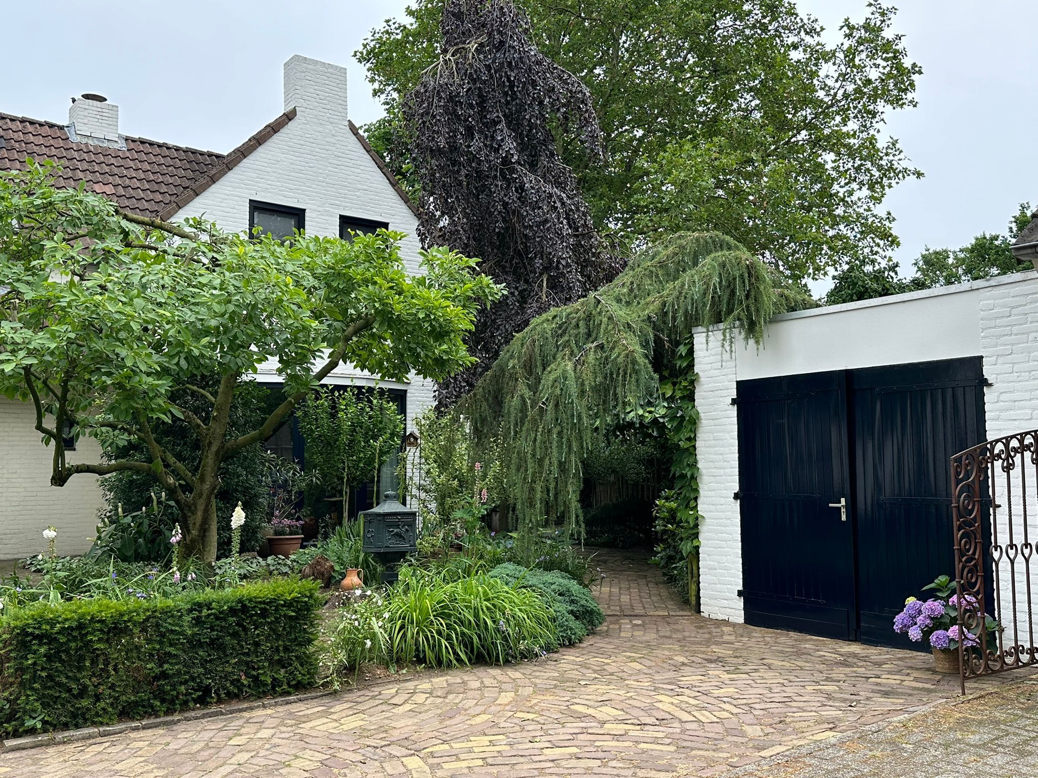 Photo of property