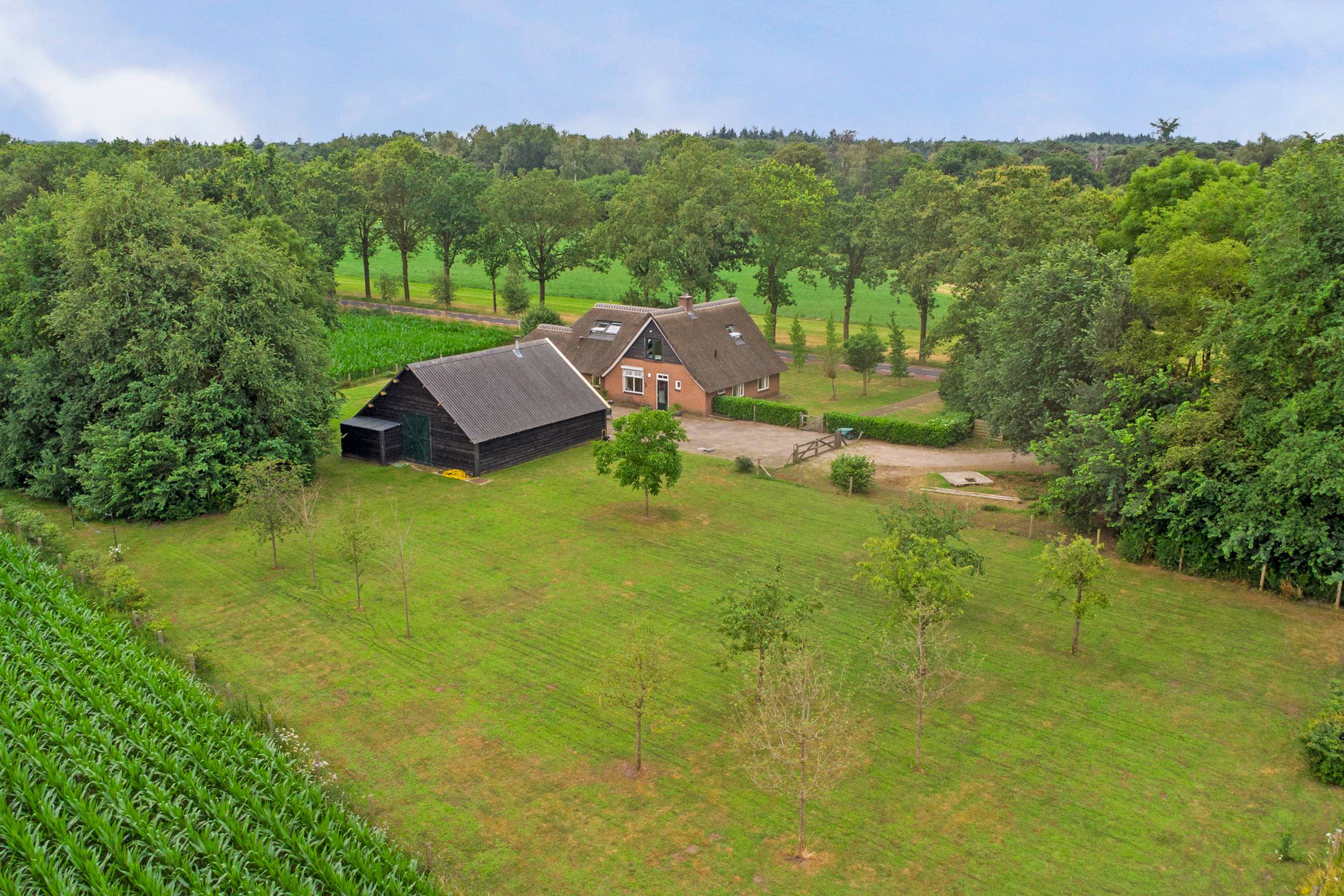 Photo of property