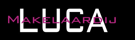 Logo of the real-estate