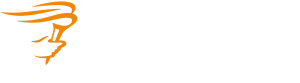 Logo of the real-estate
